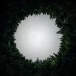 circular
