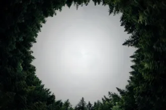 Como seria VIVER na 4° DIMENSÃO ? circular